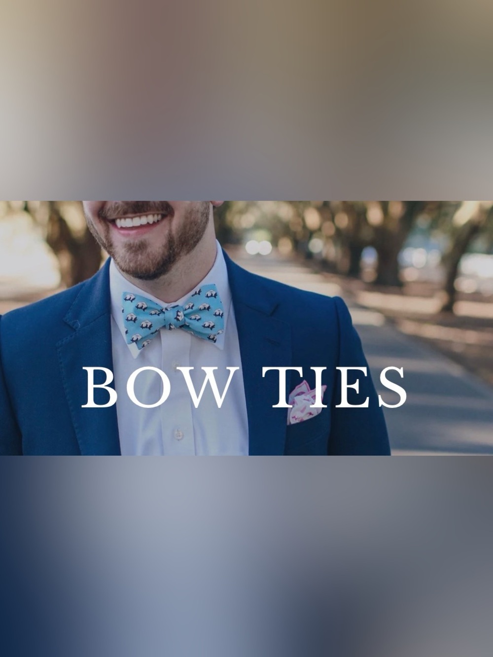 Southern Proper Mint Green Silk Bow Tie with Pickleball Motif